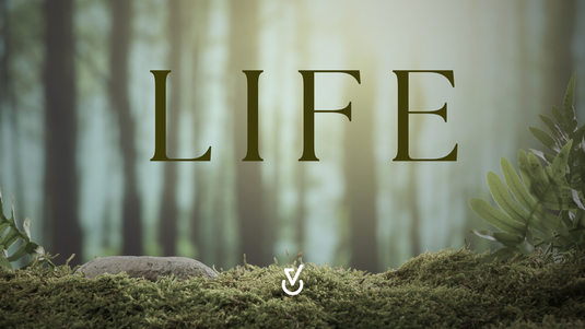 LIFE - mehr als fake